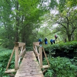 12-IMG_7491