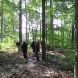 A perfect day for a hike.