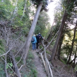 The railing helps keep you on the path.
