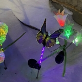 Alive with lights